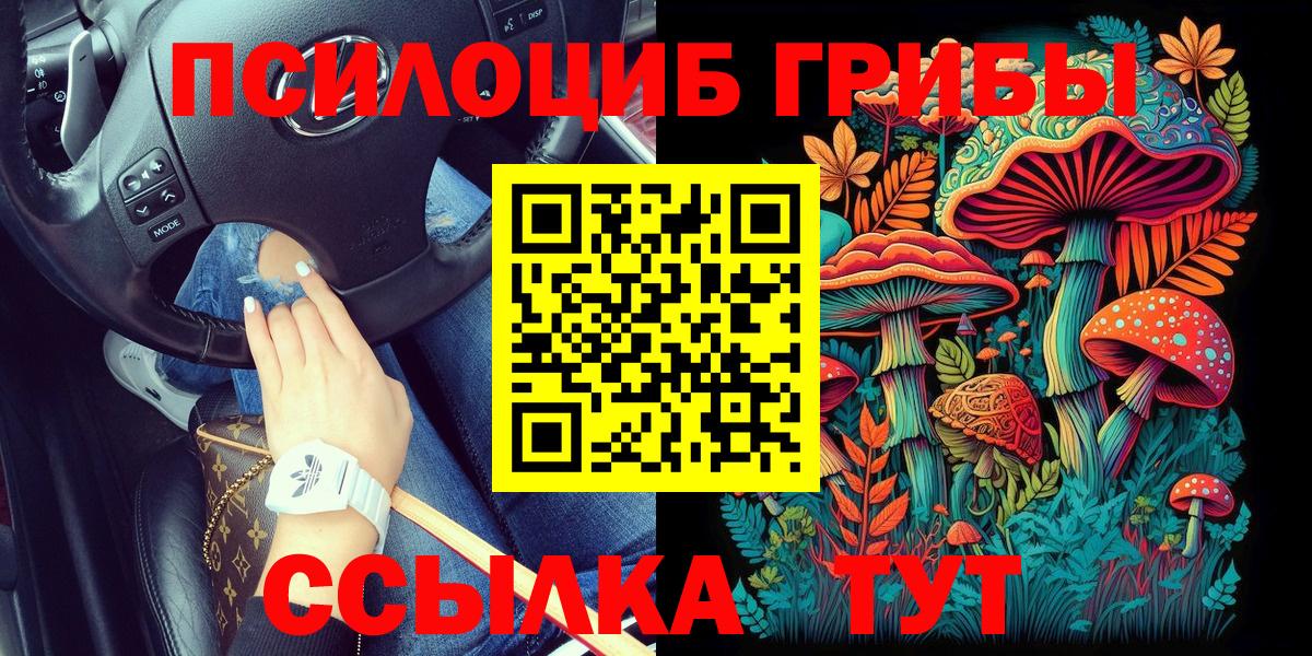 Камышин  Псилоцибиновые грибы мухоморы  Вход с VPN  Псилоцибиновые грибы Magic Shrooms 